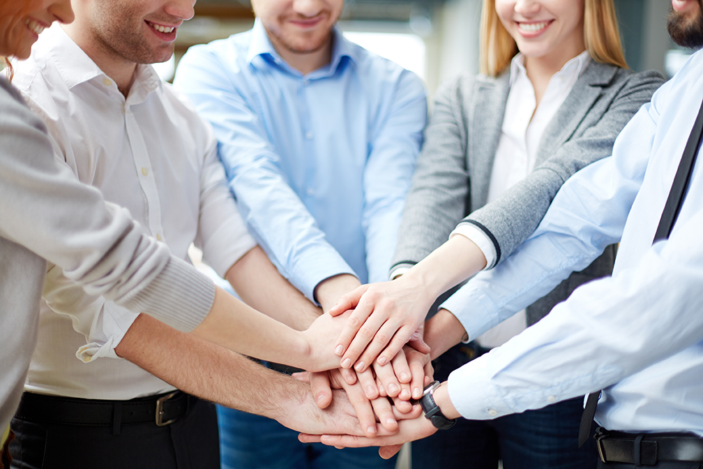 Technical support team consultation